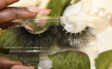 Around The World Lashes