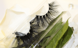 Around The World Lashes